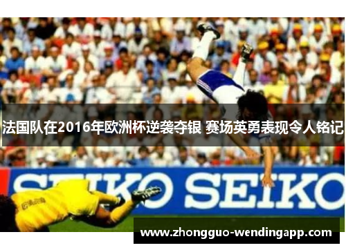 法国队在2016年欧洲杯逆袭夺银 赛场英勇表现令人铭记