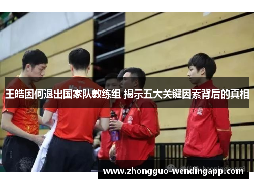 王皓因何退出国家队教练组 揭示五大关键因素背后的真相 王皓因何退出国家队教练组 揭示五大关键因素背后的真相