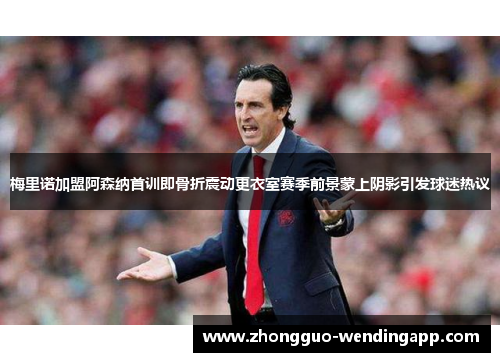 梅里诺加盟阿森纳首训即骨折震动更衣室赛季前景蒙上阴影引发球迷热议