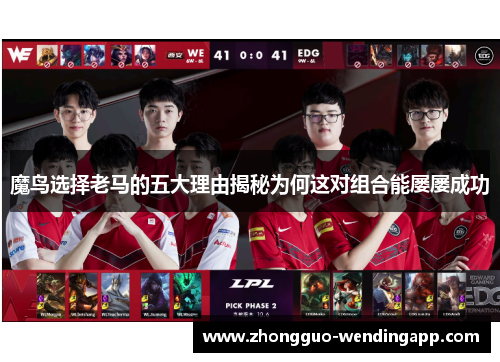 魔鸟选择老马的五大理由揭秘为何这对组合能屡屡成功